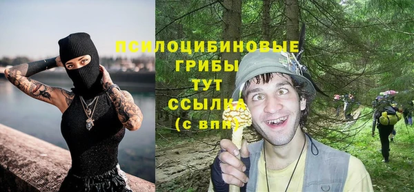 синтетический гашиш Алексеевка